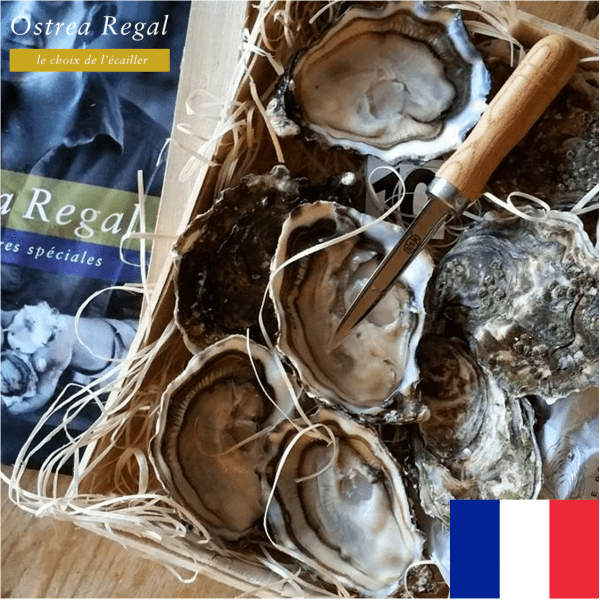 (6隻)法國皇御 Ostra Regal No.4