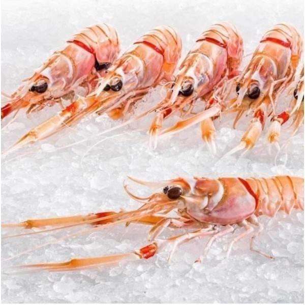 【解凍即食】急凍紐西蘭原盒螯蝦(小龍蝦)Scampi(#2號,約20-22隻/2kg)**需預早2-3天訂貨**