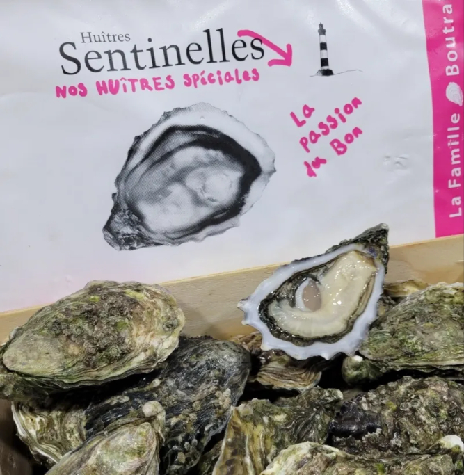 法國聖庭爾 No.0 / Sentinelle  