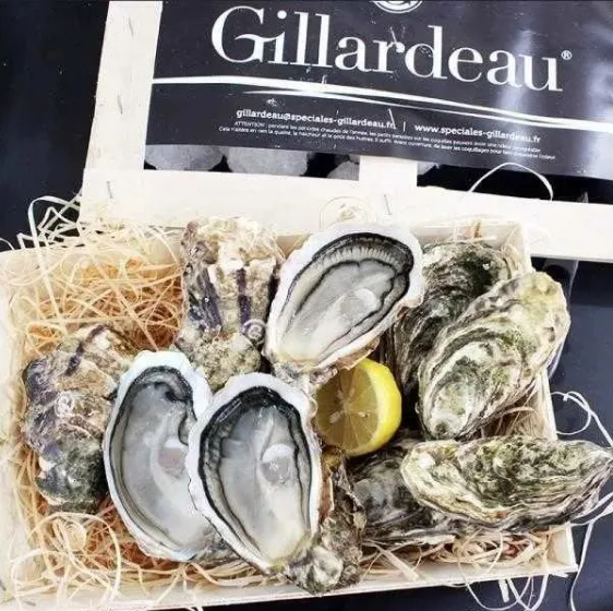 法國Gillardeau吉拉度蠔 No.1  