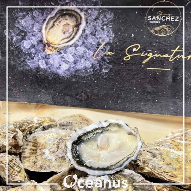 **限時優惠$159/4隻, 只限4月5日前取貨**法國名門 No.0 / La Signature 