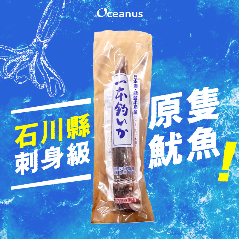 【解凍即食】急凍石川縣(刺身級)原隻魷魚(200G)未切