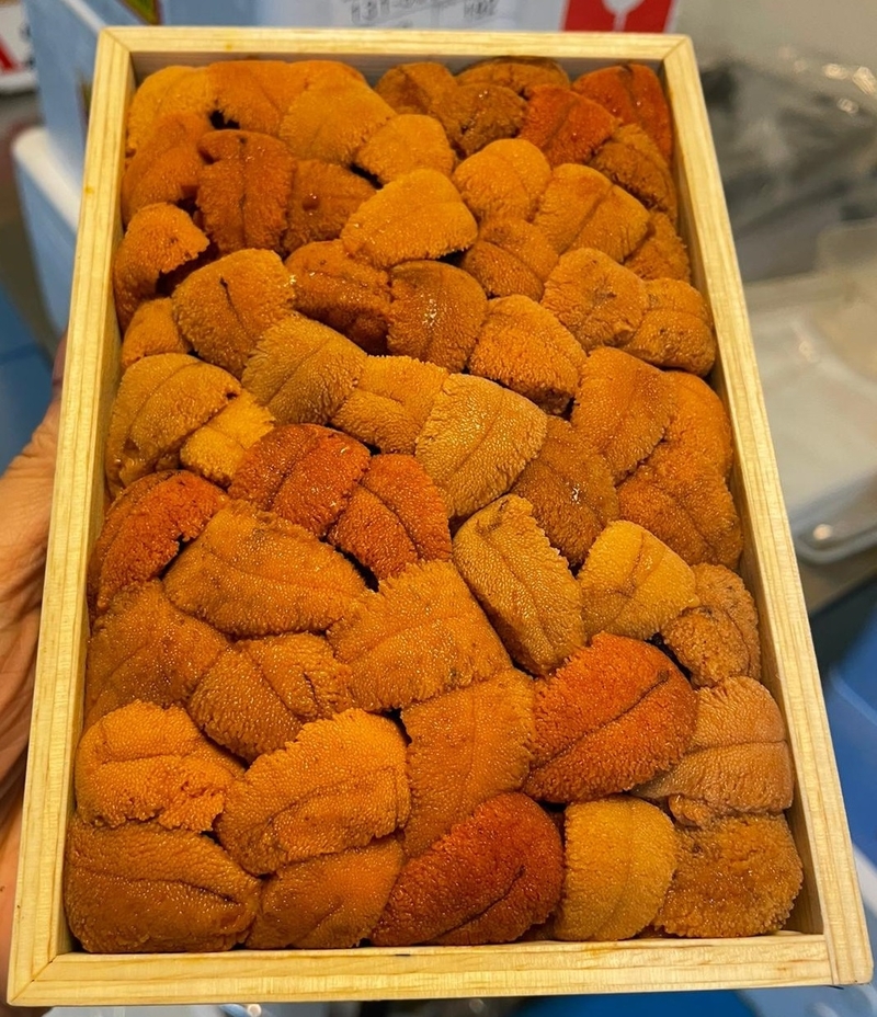 【現貨】數量有限,售完即止**日本北海道馬糞海膽(亂排) (250g) *圖片只供參考*