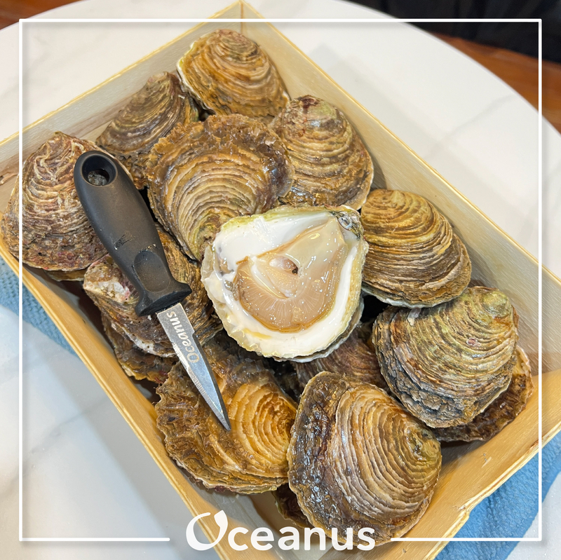 **數量有限, 售完即止**法國銅蠔 Oyster (約80-100g) (每周限量發售)