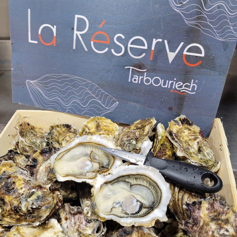 【地中海風味】法國淡雪之蠔 La Reserve No.2