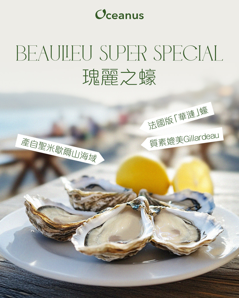 【媲美華漣】法國瑰麗之蠔 BEAULIEU Super Special No.0
