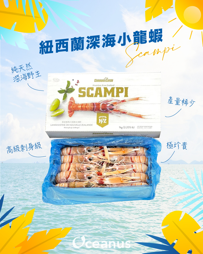 【解凍即食】急凍紐西蘭刺身級Scampi 深海小龍蝦(螫蝦) (G1) 9-11隻/kg