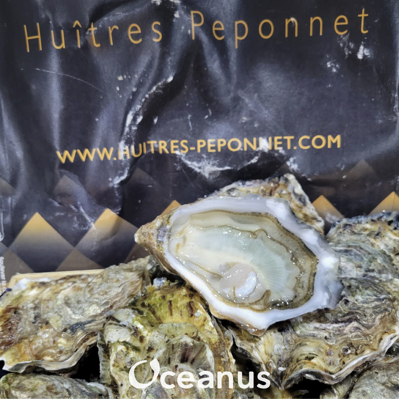 法國柏賓 Peponnet Special No.2