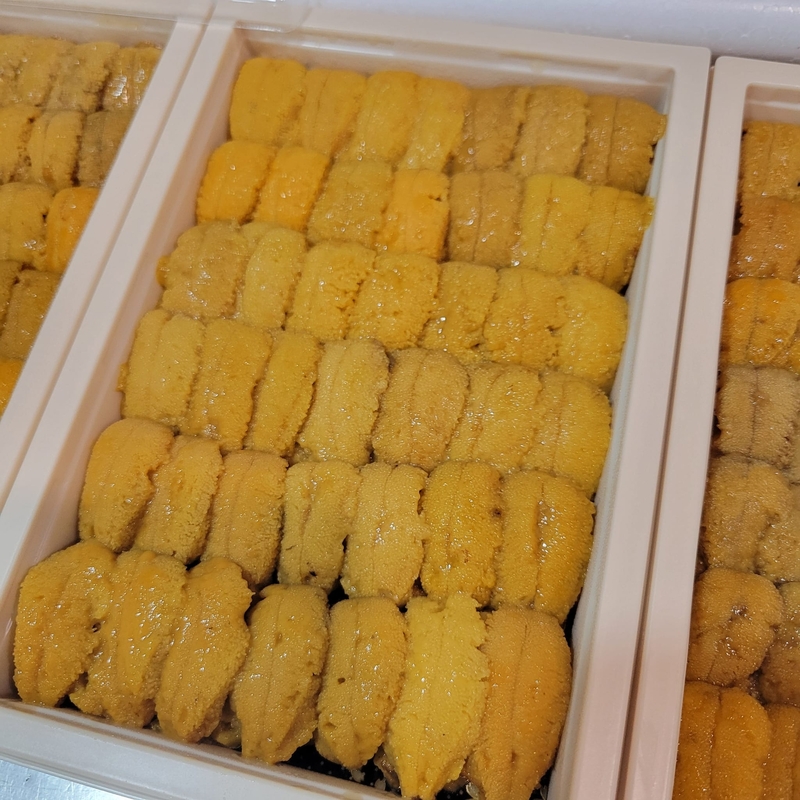 【現貨】**數量有限,售完即止** 日本北海道白海膽(約250g)