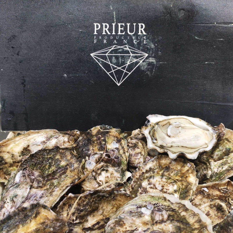 黑鑽石蠔Prieur no.2